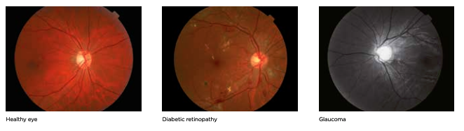 Topcon NW8 with Windows 10 computer - Refurbished 17 Captura de Pantalla 2026 04 20 a las 2.46.29 p. m