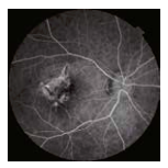 Topcon NW8 with Windows 10 computer - Refurbished 21 Captura de Pantalla 2026 04 20 a las 2.52.54 p. m